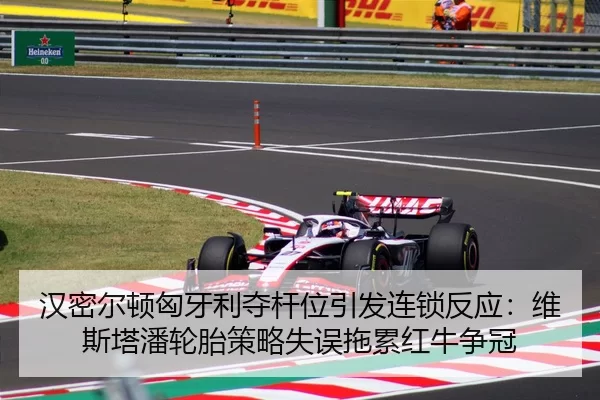 han-mi-er-dun-xiong-ya-li-duo-gan-wei-yin-fa-lian-suo-fan-ying-wei-si-ta-pan-lun-tai-ce-lve-shi-wu-tuo-lei-hong-niu-2-408.jpg